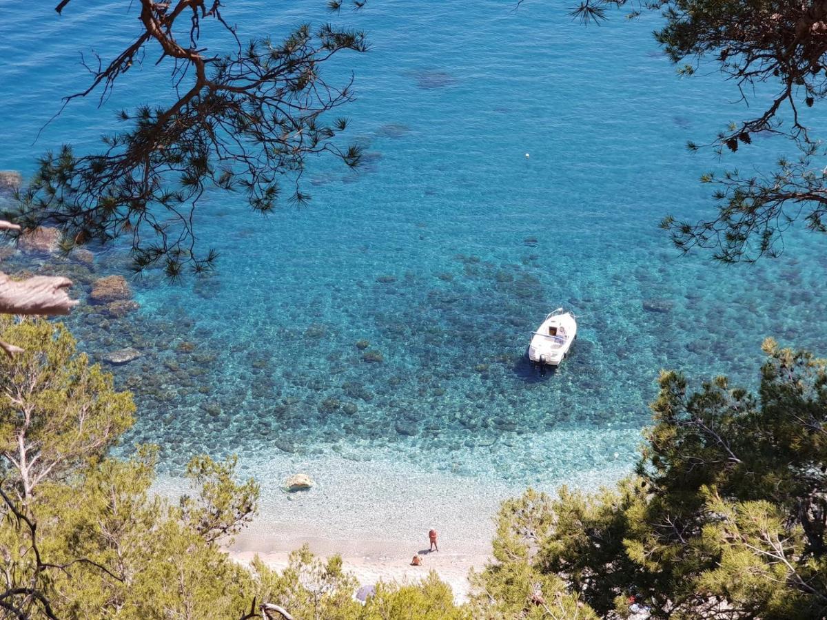 60 m2 , 2 chambres, très calme, plage et commerces à 3 minutes à pied, WIFI fibre optique et parking gratuit La Seyne-sur-Mer Exterior foto